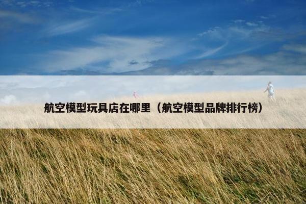 航空模型玩具店在哪里（航空模型品牌排行榜）