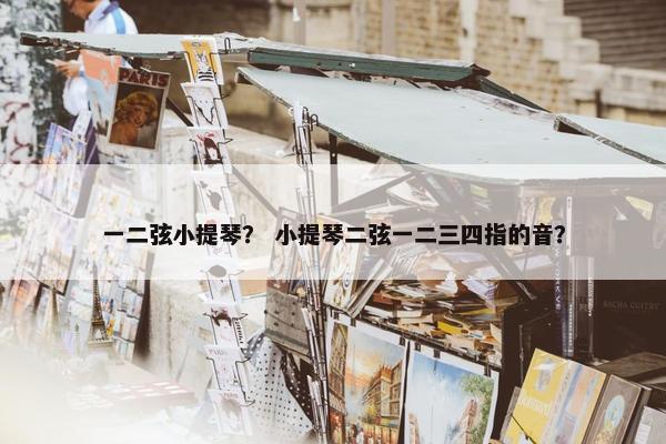 一二弦小提琴？ 小提琴二弦一二三四指的音？