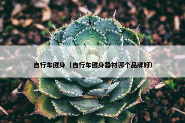 自行车健身（自行车健身器材哪个品牌好）