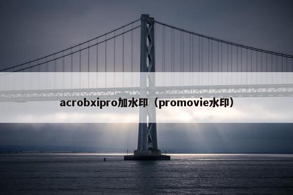 acrobxipro加水印（promovie水印）