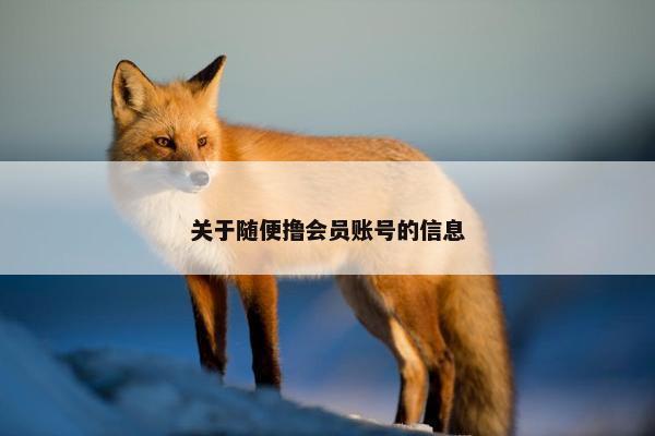 关于随便撸会员账号的信息