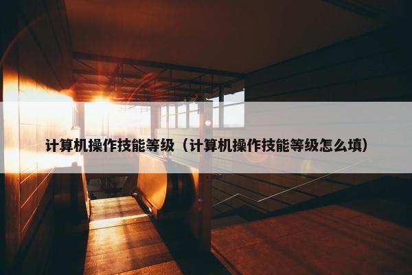 计算机操作技能等级（计算机操作技能等级怎么填）