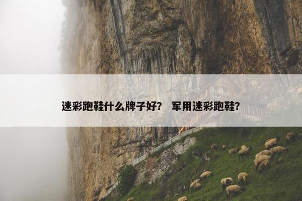 迷彩跑鞋什么牌子好？ 军用迷彩跑鞋？
