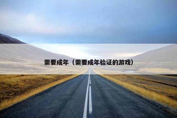 需要成年（需要成年验证的游戏）