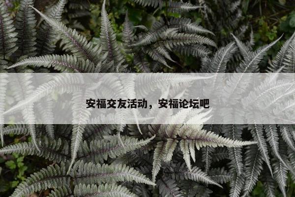 安福交友活动，安福论坛吧