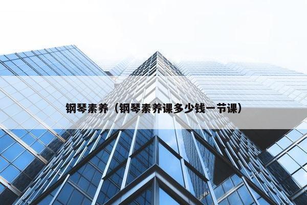 钢琴素养（钢琴素养课多少钱一节课）