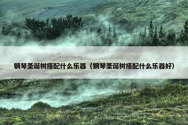 钢琴圣诞树搭配什么乐器(钢琴圣诞树搭配什么乐器好) 钢琴圣诞树搭配什么乐器(钢琴圣诞树搭配什么乐器好)