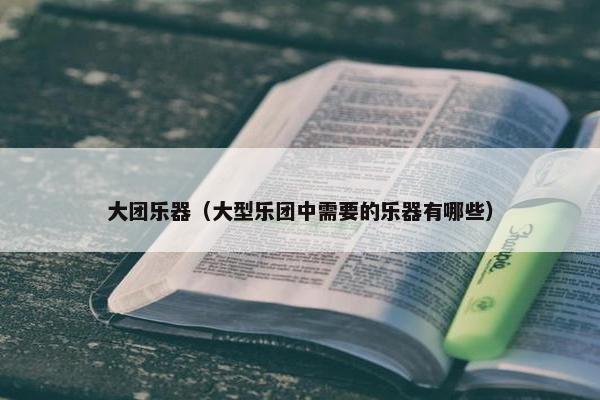大团乐器（大型乐团中需要的乐器有哪些）