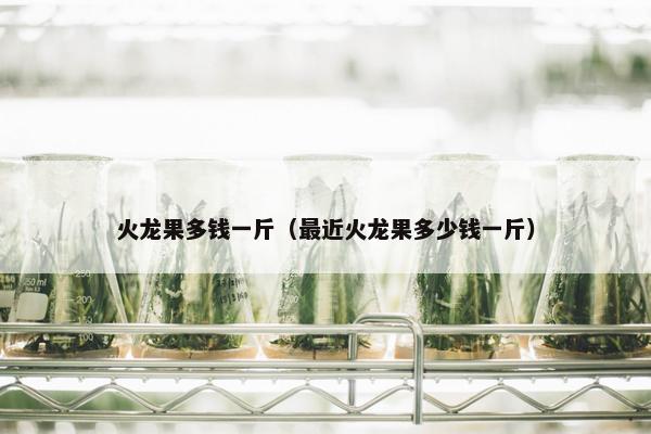 火龙果多钱一斤(最近火龙果多少钱一斤) 火龙果多钱一斤(最近火龙果多少钱一斤)