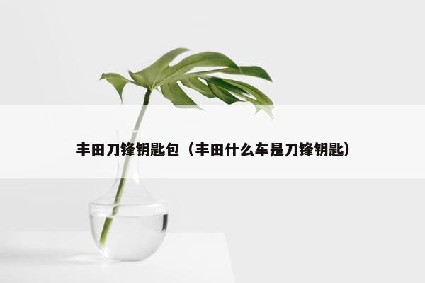 丰田刀锋钥匙包(丰田什么车是刀锋钥匙) 丰田刀锋钥匙包(丰田什么车是刀锋钥匙)