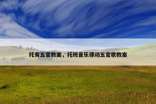 托育五官教案，托班音乐律动五官歌教案