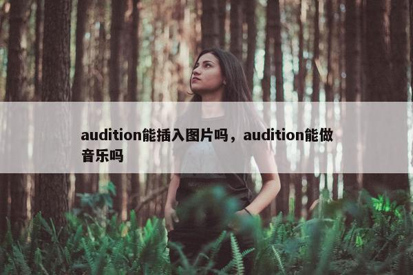 audition能插入图片吗，audition能做音乐吗