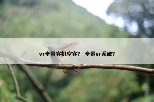 vr全景客机空客？ 全景vr系统？