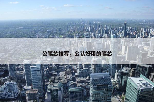 公笔芯推荐，公认好用的笔芯