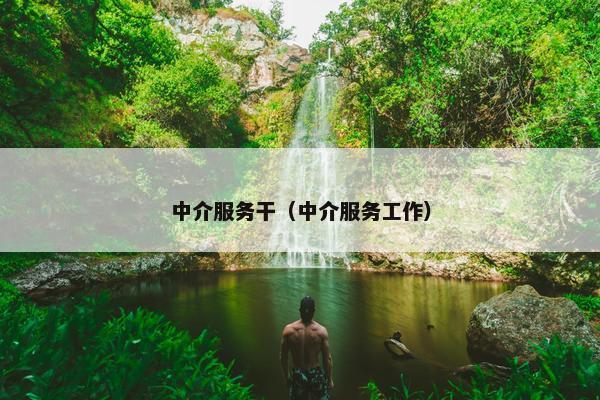中介服务干（中介服务工作）