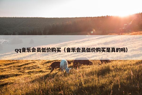 qq音乐会员低价购买（音乐会员低价购买是真的吗）