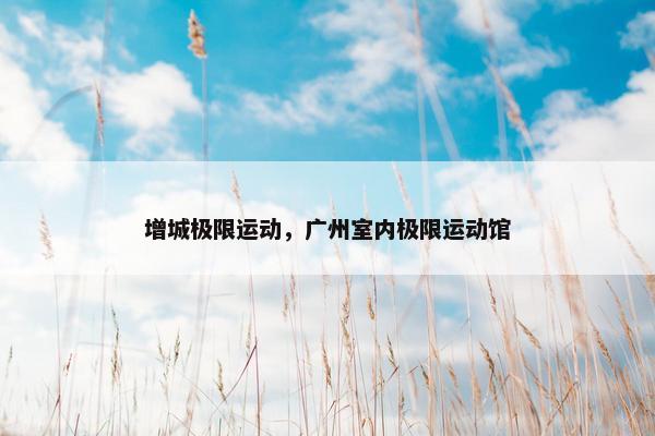 增城极限运动，广州室内极限运动馆