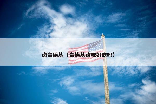 卤肯德基（肯德基卤味好吃吗）