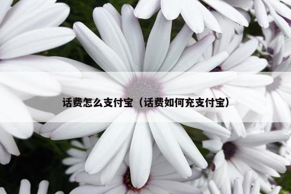 话费怎么支付宝(话费如何充支付宝) 话费怎么支付宝(话费如何充支付宝)