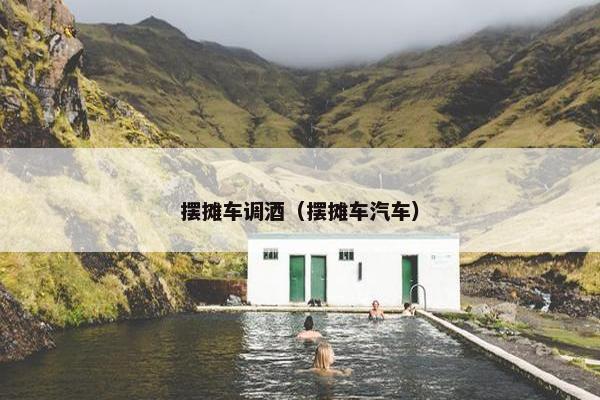 摆摊车调酒(摆摊车汽车) 摆摊车调酒(摆摊车汽车)
