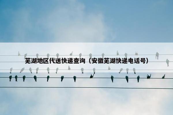 芜湖地区代送快递查询(安徽芜湖快递电话号) 芜湖地区代送快递查询(安徽芜湖快递电话号)