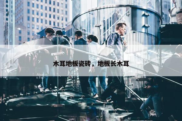 木耳地板瓷砖，地板长木耳