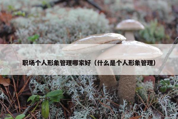 职场个人形象管理哪家好（什么是个人形象管理）
