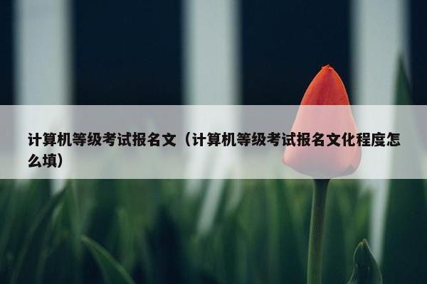 计算机等级考试报名文(计算机等级考试报名文化程度怎么填) 计算机等级考试报名文(计算机等级考试报名文化程度怎么填)