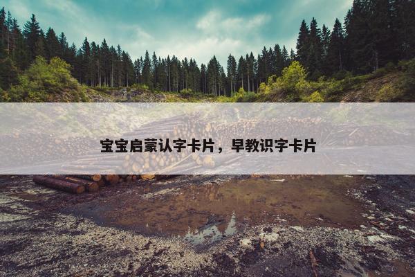 宝宝启蒙认字卡片，早教识字卡片