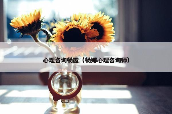 心理咨询杨霞(杨娜心理咨询师) 心理咨询杨霞(杨娜心理咨询师)