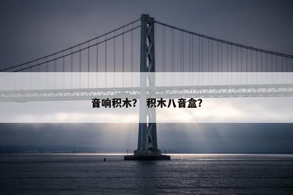 音响积木？ 积木八音盒？