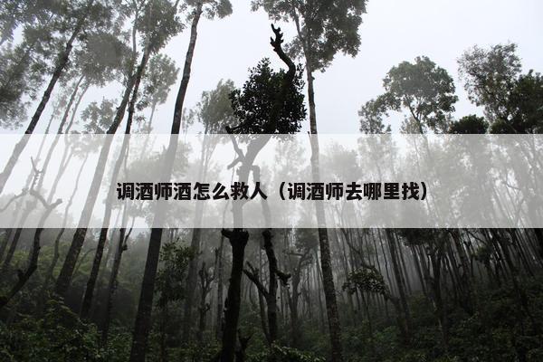 调酒师酒怎么救人（调酒师去哪里找）