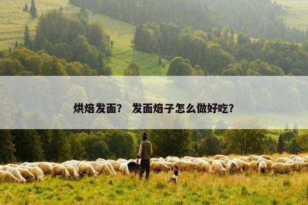烘焙发面? 发面焙子怎么做好吃? 烘焙发面? 发面焙子怎么做好吃?