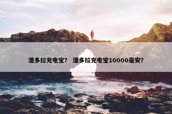 潘多拉充电宝? 潘多拉充电宝10000毫安? 潘多拉充电宝? 潘多拉充电宝10000毫安?