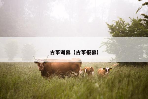 古筝谢幕（古筝报幕）