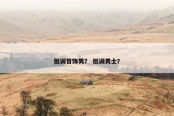 低调首饰男? 低调男士? 低调首饰男? 低调男士?