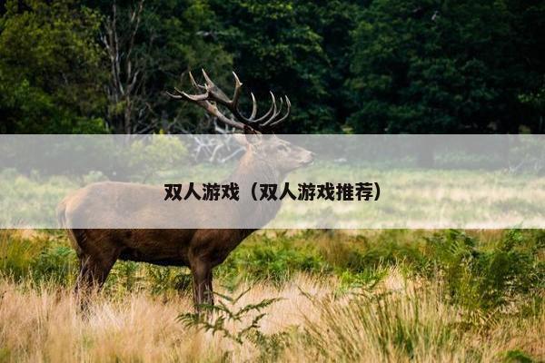 双人游戏（双人游戏推荐）
