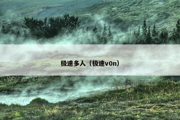 极速多人（极速v0n）