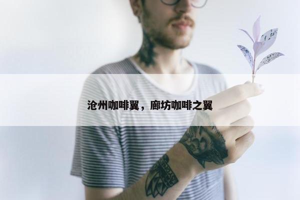 沧州咖啡翼，廊坊咖啡之翼