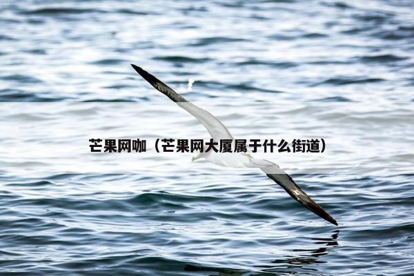 芒果网咖（芒果网大厦属于什么街道）