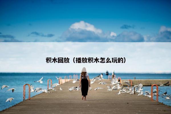 积木回放（播放积木怎么玩的）