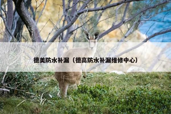 德美防水补漏（德高防水补漏维修中心）