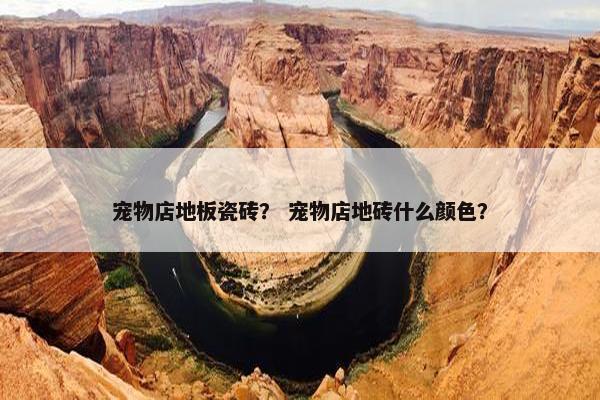 宠物店地板瓷砖? 宠物店地砖什么颜色? 宠物店地板瓷砖? 宠物店地砖什么颜色?