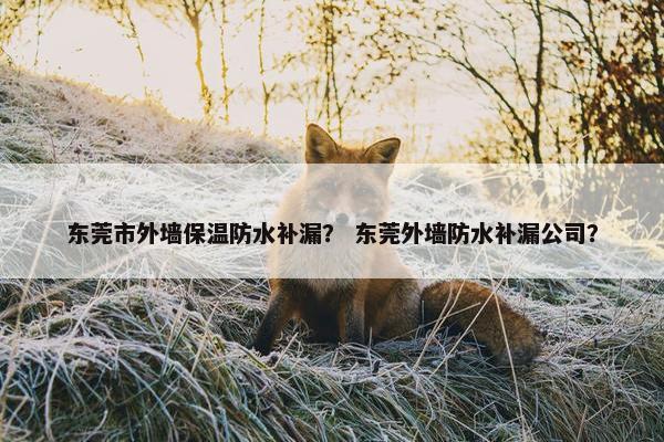 东莞市外墙保温防水补漏? 东莞外墙防水补漏公司? 东莞市外墙保温防水补漏? 东莞外墙防水补漏公司?