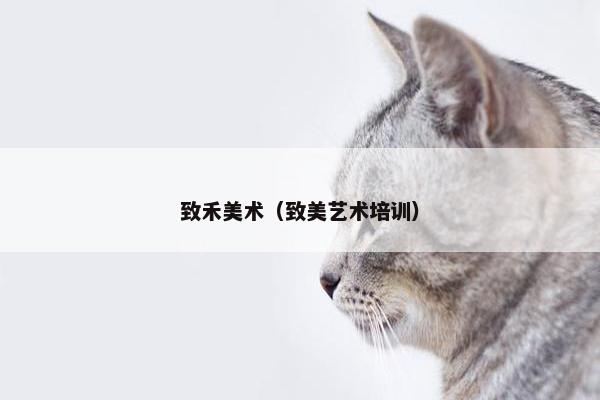致禾美术(致美艺术培训) 致禾美术(致美艺术培训)