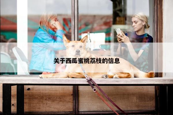 关于西瓜蜜桃荔枝的信息