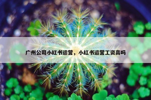 广州公司小红书运营,小红书运营工资高吗 广州公司小红书运营,小红书运营工资高吗