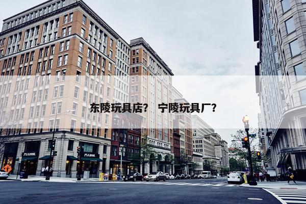 东陵玩具店? 宁陵玩具厂? 东陵玩具店? 宁陵玩具厂?