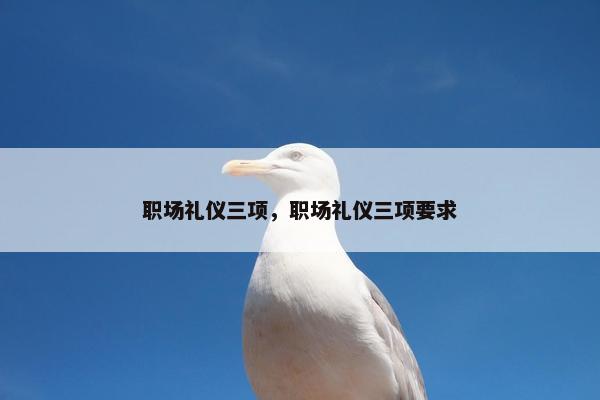 职场礼仪三项，职场礼仪三项要求