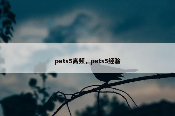 pets5高频，pets5经验